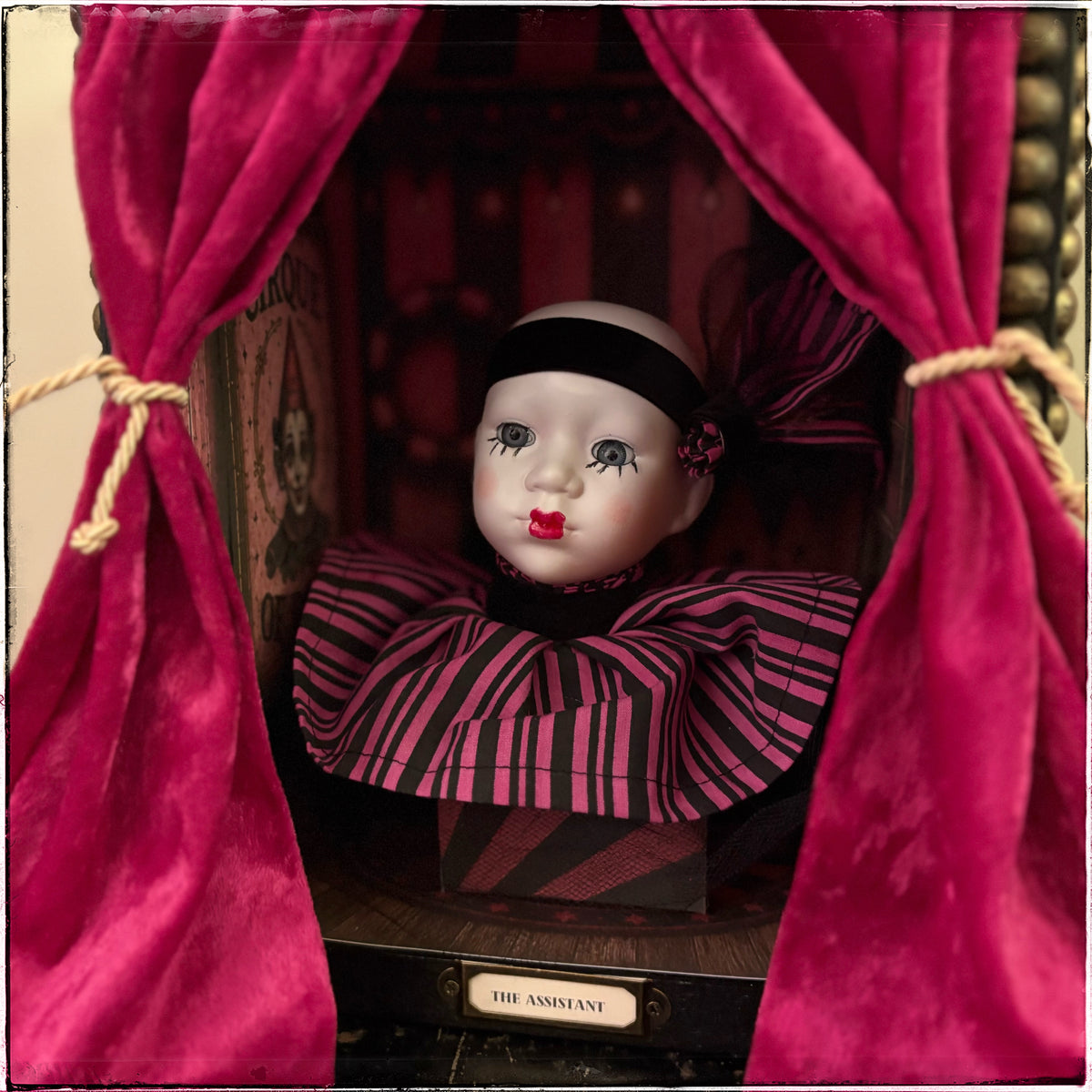Circus of Dolls - The Assistant